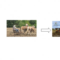 A precíziós mezőgazdaság fogalma