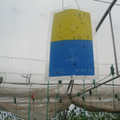 Mérföldkövek a növényvédelem történetében