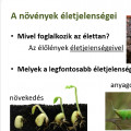 A növények legfontosabb életjelenségei
